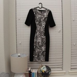 Maggy London Dress- Like New